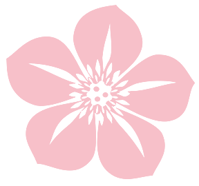 插插圈圈